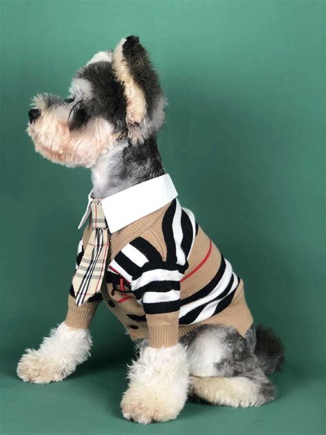 designer sweaters for dogs.